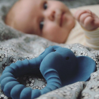 Natruba glodalica slon, plava 