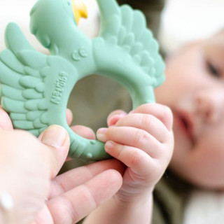 Natruba glodalica papagaj, svetlo zelena 