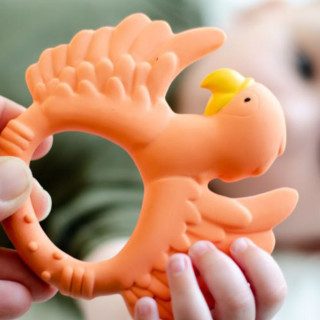 Natruba glodalica papagaj, narandžasta 