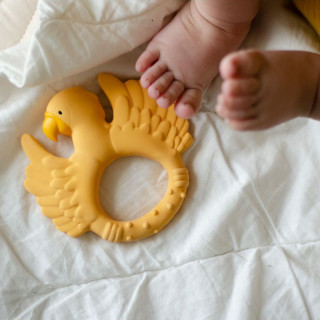 Natruba glodalica papagaj, žuta 