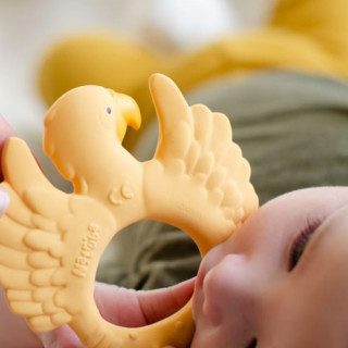 Natruba glodalica papagaj, žuta 