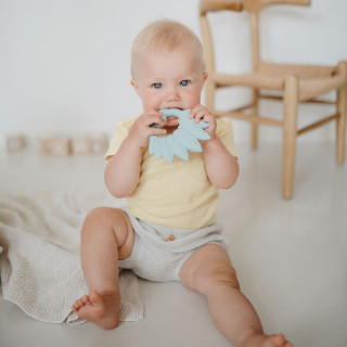 Natruba glodalica paun, svetlo plava 