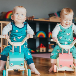 Wishbone osnova za Mini Flip guralicu 4 u 1 bela 