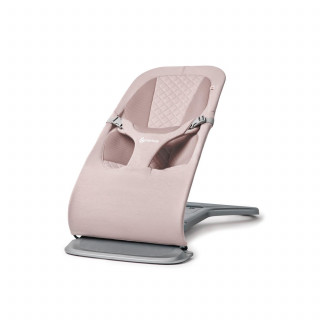 Ergobaby Evolve Bouncer 