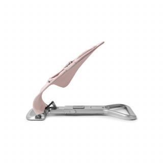 Ergobaby Evolve Bouncer 