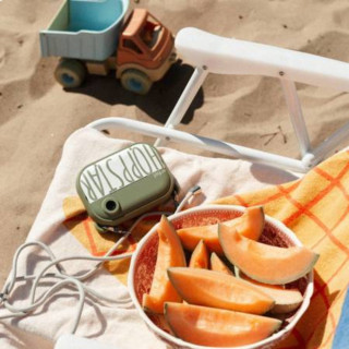 Hoppstar fotoaparat sa inst. slikama Artist,Laurel 