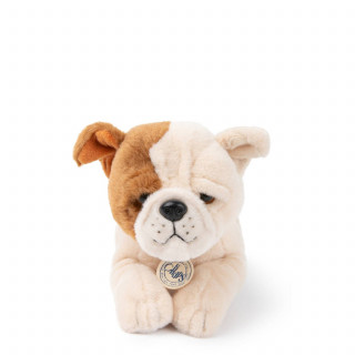 B.T.Chaps Berta Američki buldog u pokl.kutiji 20cm 