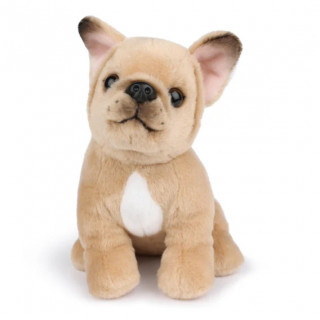 B.T. Chaps Philippe francuski buldog 17 cm 