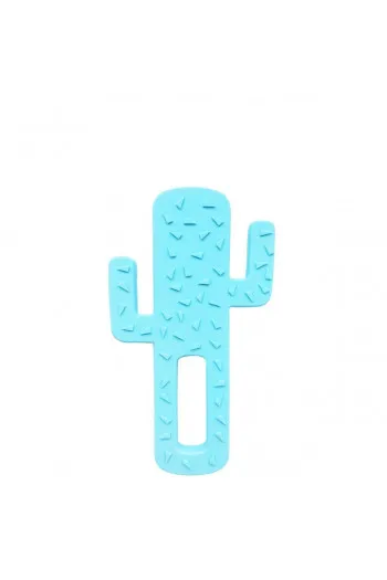 Minikoioi glodalica Cactus plava 