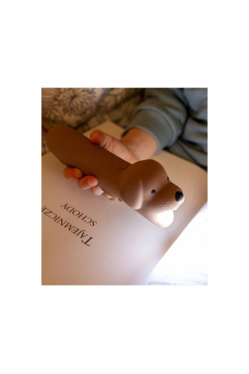 Rabbit n Friends baterijska lampa kuca, braon 