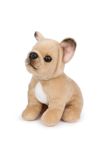 B.T. Chaps Philippe francuski buldog 17 cm 