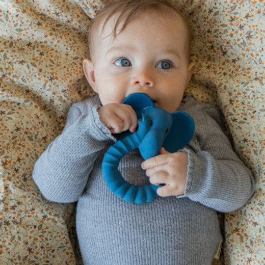 Natruba glodalica slon, plava 