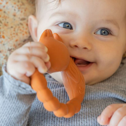 Natruba glodalica lisica, narandžasta 