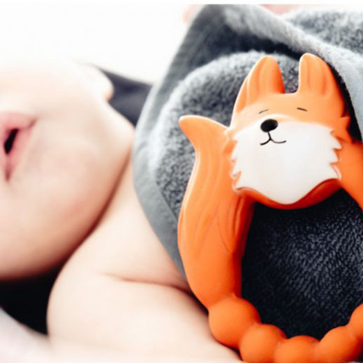 Natruba glodalica lisica, narandžasta 