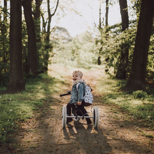 Wishbone tricikl  od plastike 3 u 1 Raw 