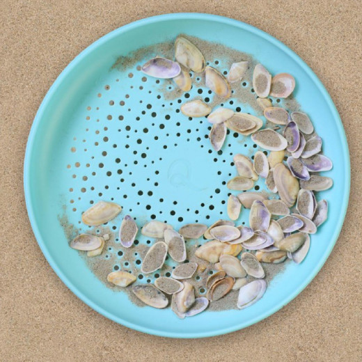 Quut igračka frizbi 