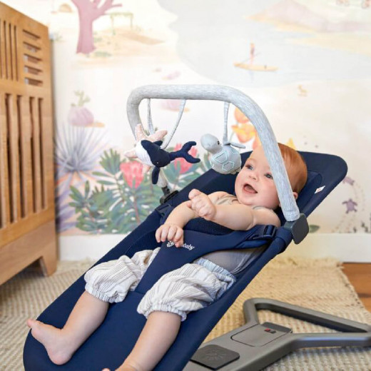 Ergobaby Evolve Bouncer 