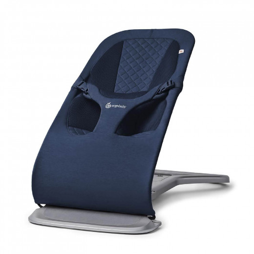 Ergobaby Evolve Bouncer 