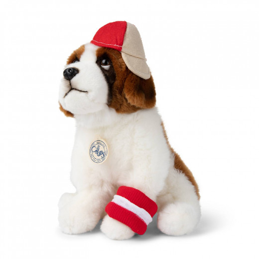 B.T.Chaps Herman bernandinac 32cm 