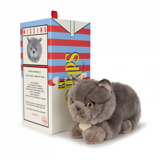 B.T.Chaps Freddy britanski pas u pokl. kutiji 20cm 