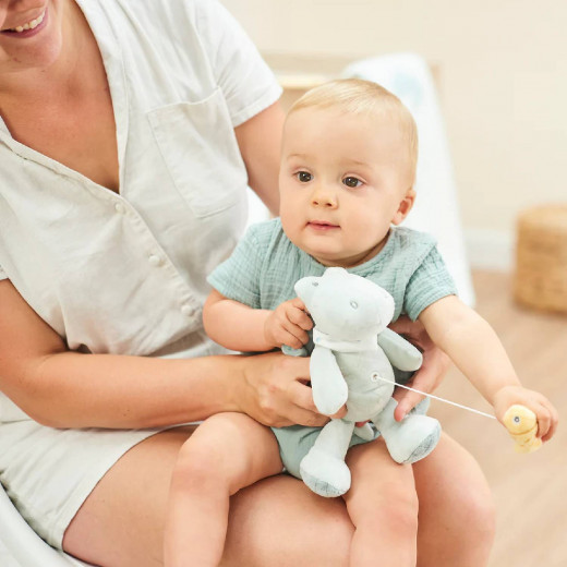 Nattou muzička plišana igračka krokodil i ribica 