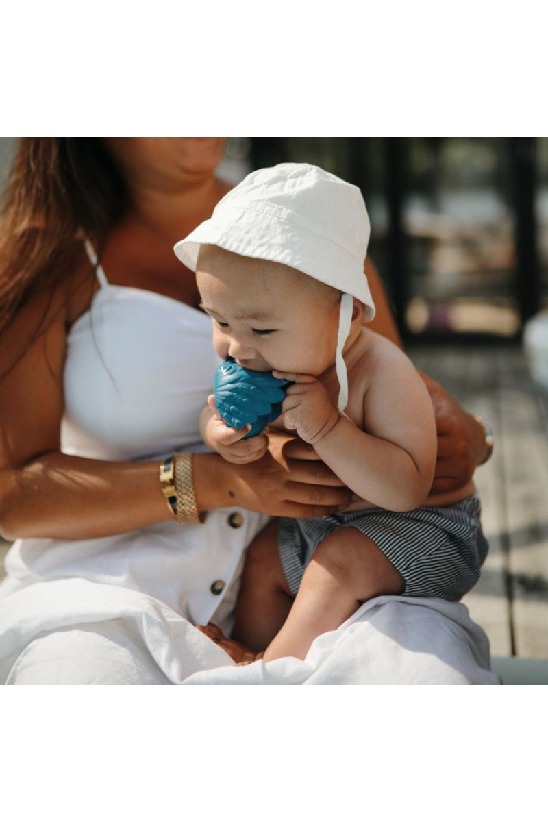 Natruba igačka za kupanje paun, plava 