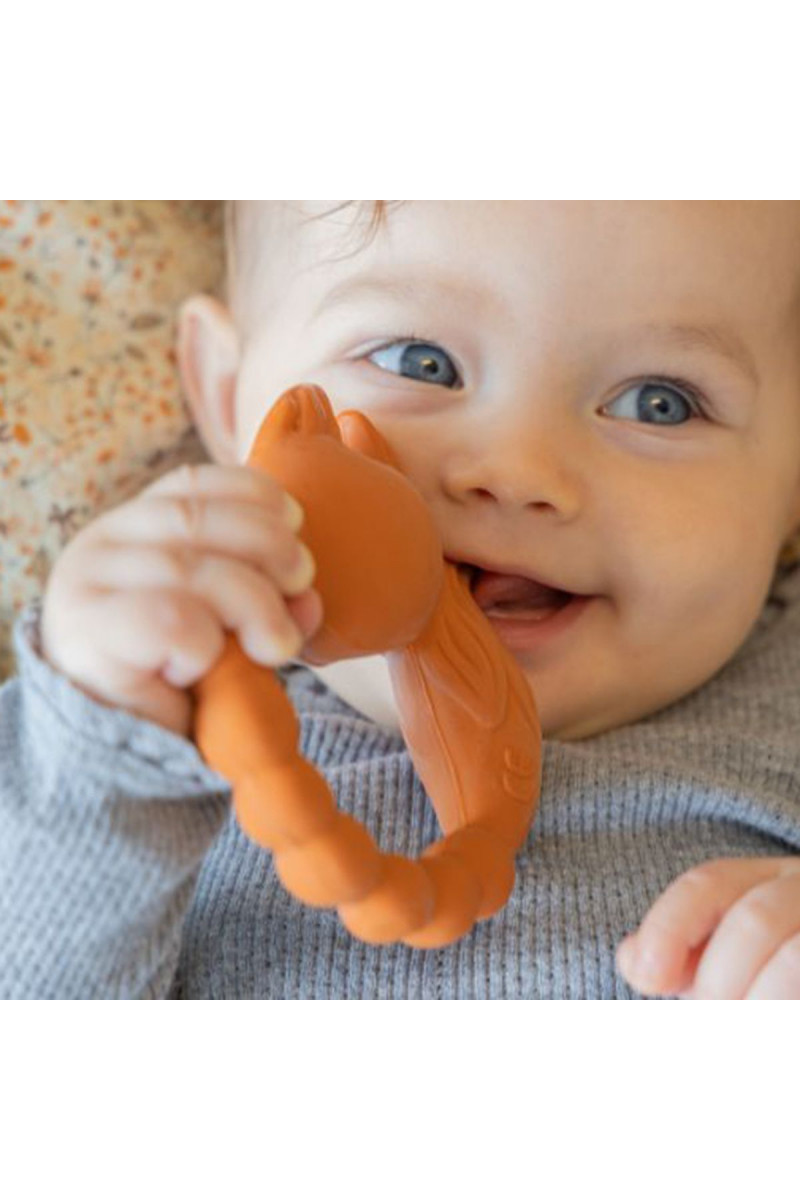 Natruba glodalica lisica, narandžasta 