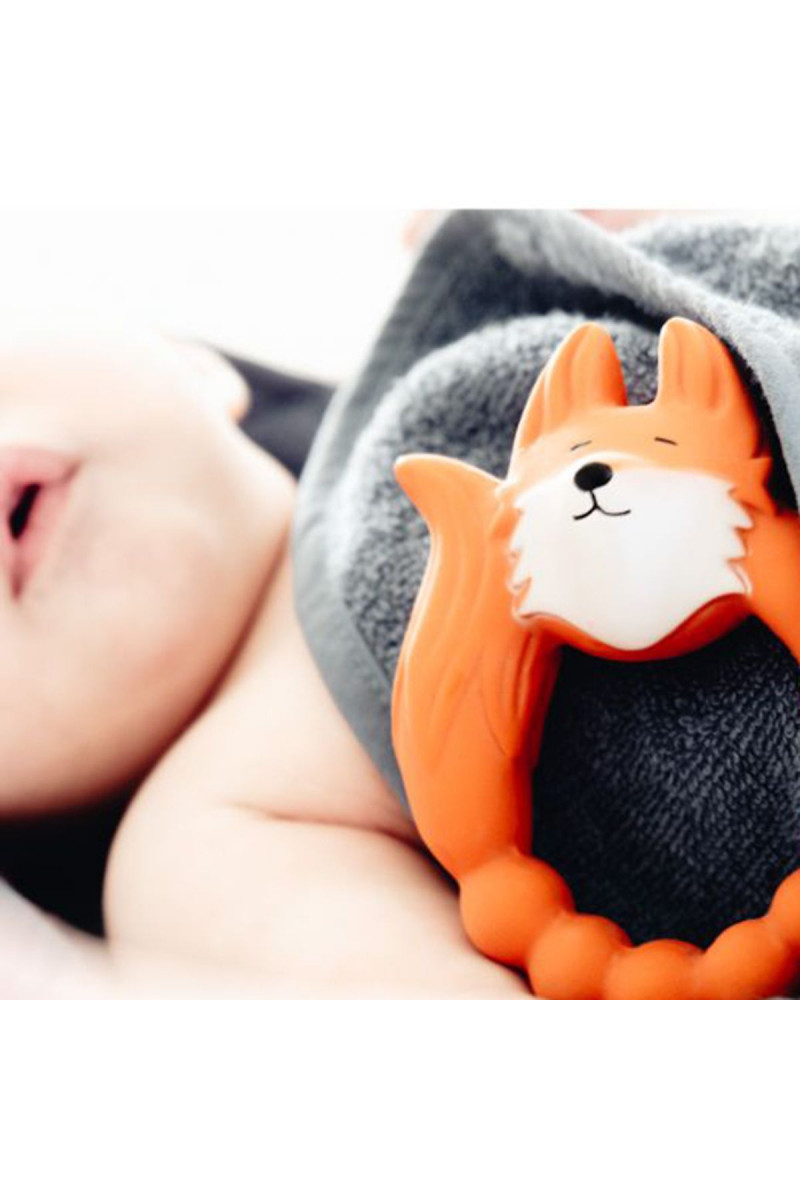 Natruba glodalica lisica, narandžasta 