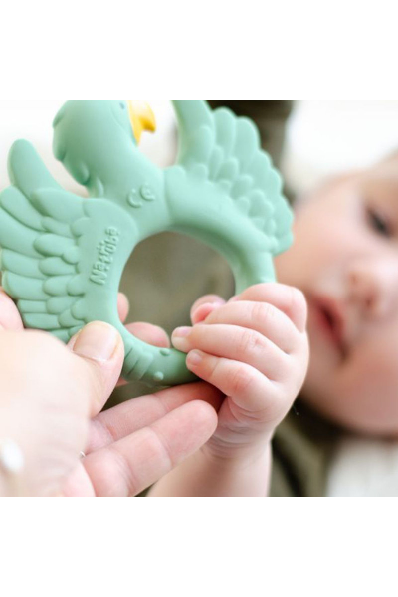 Natruba glodalica papagaj, svetlo zelena 