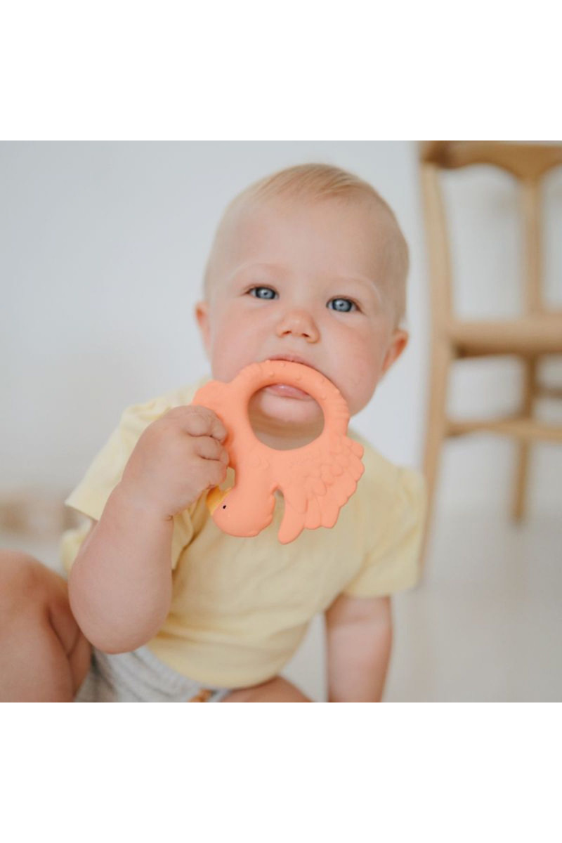 Natruba glodalica papagaj, narandžasta 