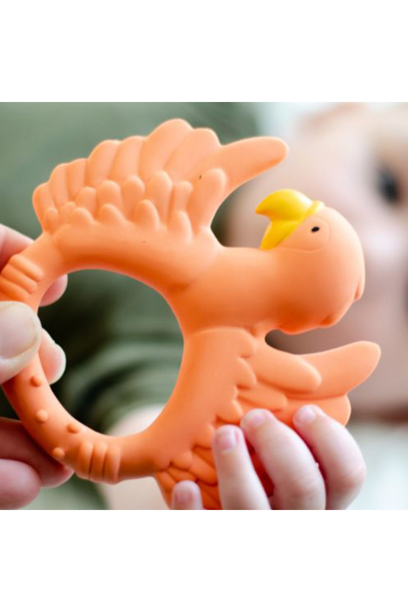 Natruba glodalica papagaj, narandžasta 