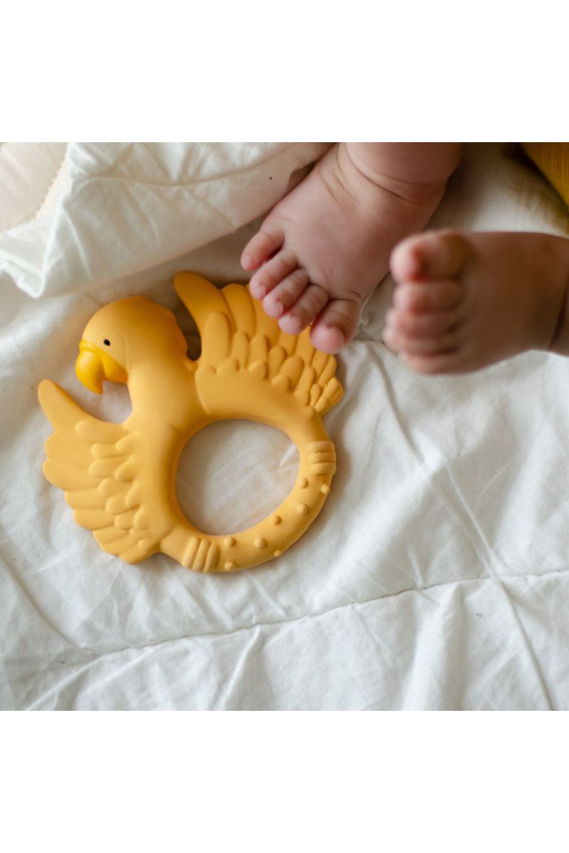 Natruba glodalica papagaj, žuta 