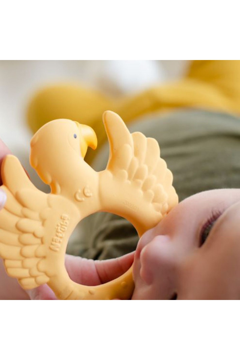 Natruba glodalica papagaj, žuta 