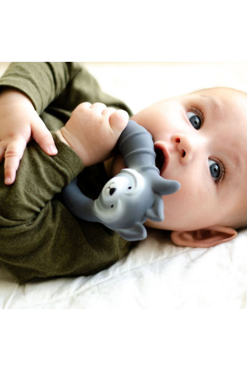 Natruba glodalica rakun, siva 