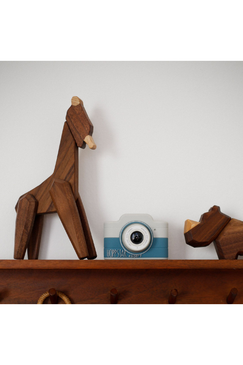 Hoppstar dečiji digitalni fotoaparat Expert, Yale 