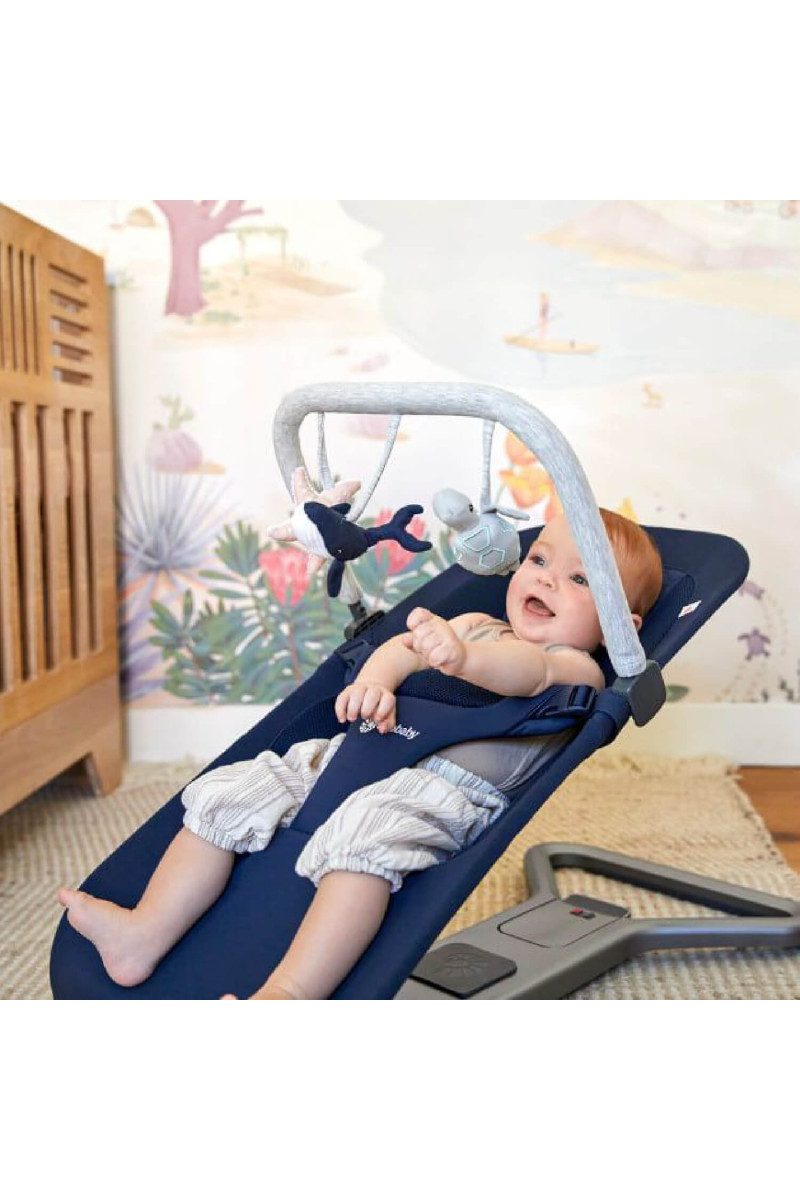 Ergobaby Evolve Bouncer 