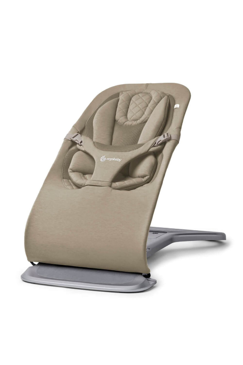 Ergobaby Evolve Bouncer 