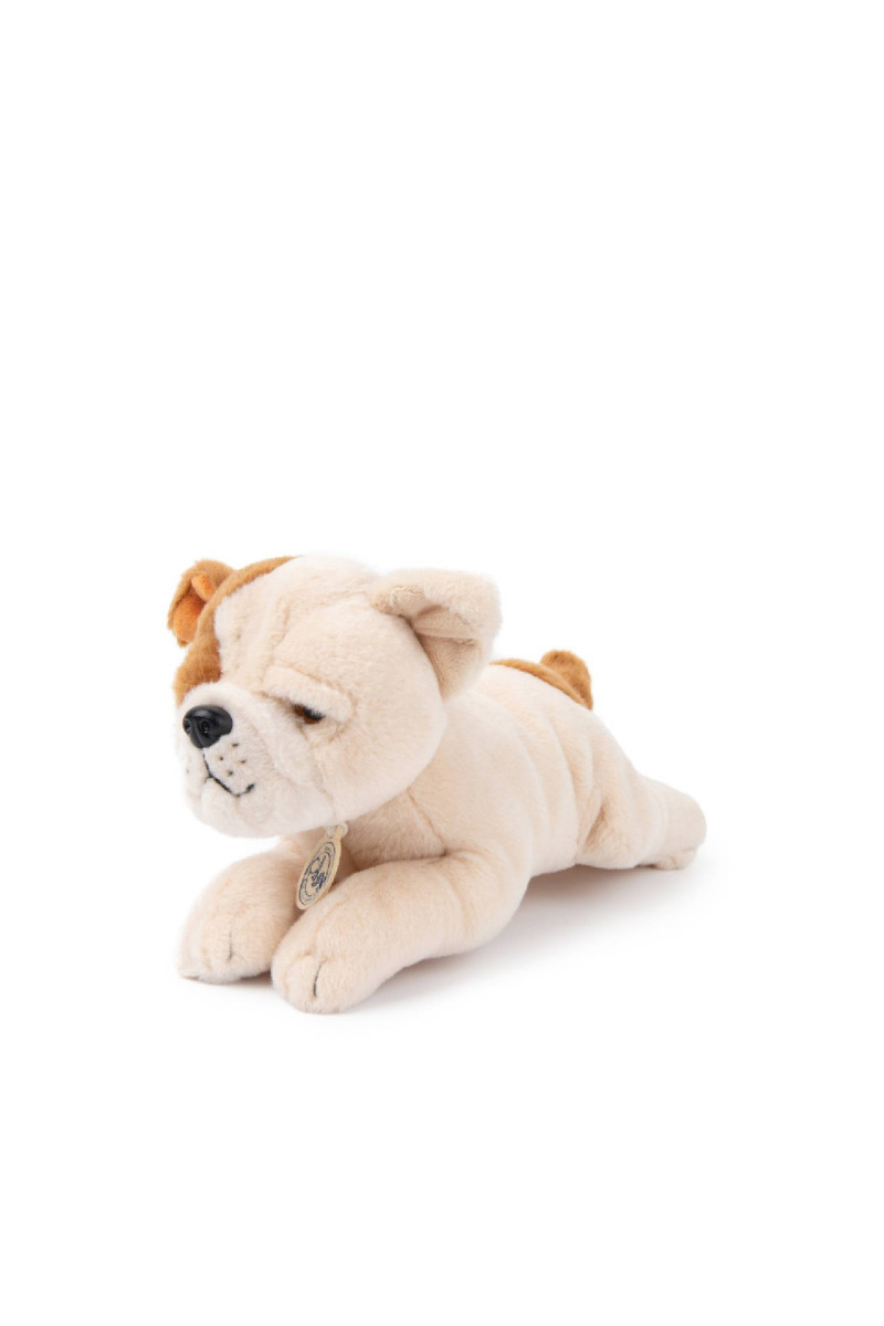 B.T.Chaps Berta Američki buldog u pokl.kutiji 20cm 