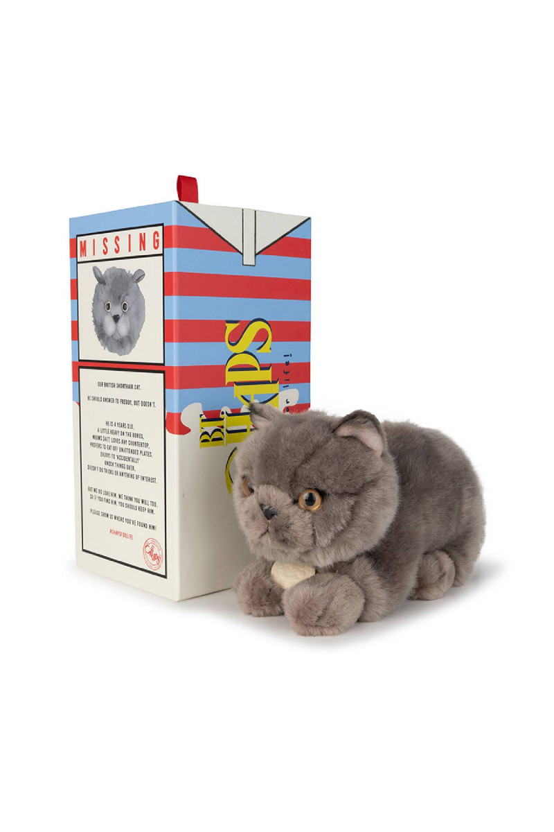 B.T.Chaps Freddy britanski pas u pokl. kutiji 20cm 