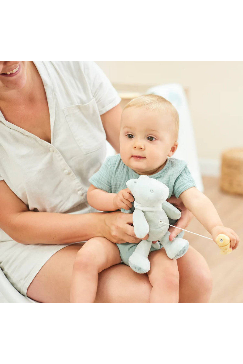 Nattou muzička plišana igračka krokodil i ribica 