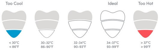 Shnuggle termometar za vodu, Pebbly 