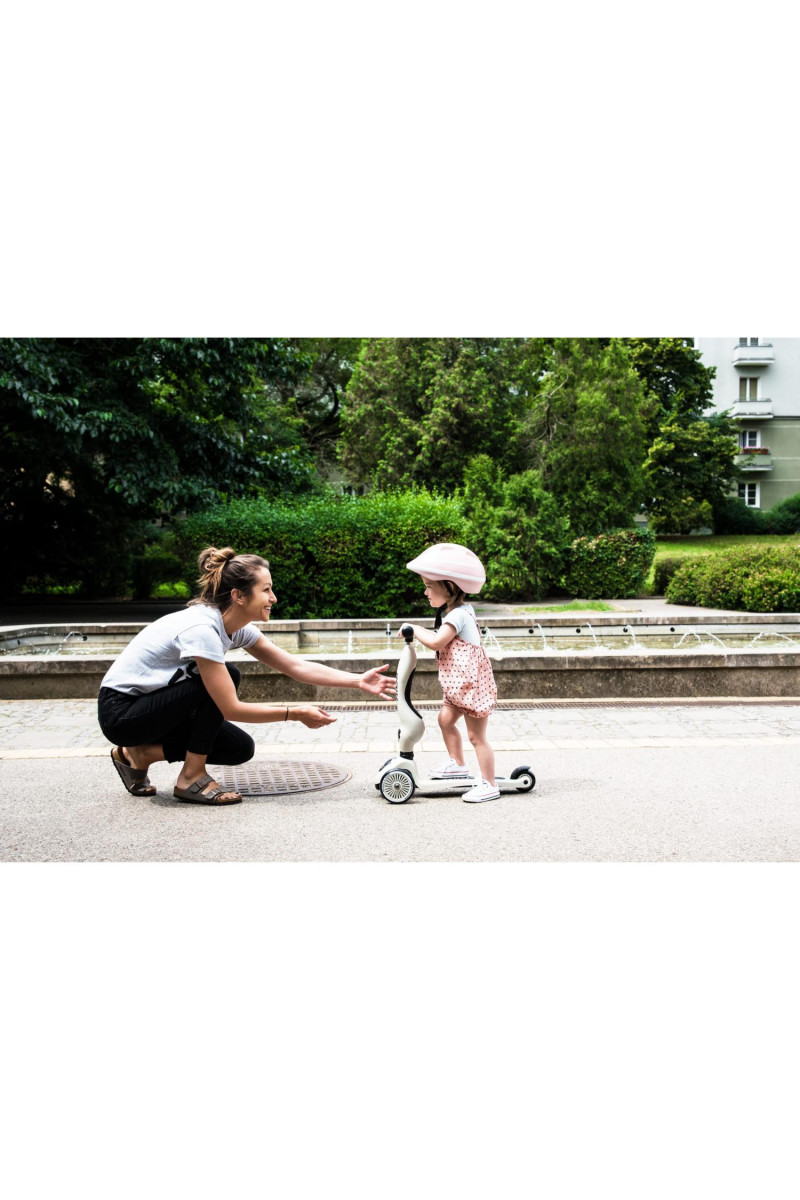 Scoot&Ride Trotinet 2u1 Highwaykick 1 Ash 