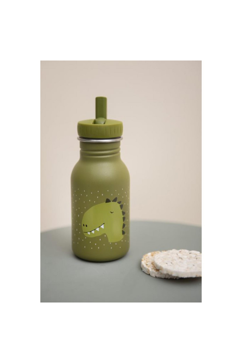 Trixie flašica od nerđajućeg čelika 350ml, Dino 