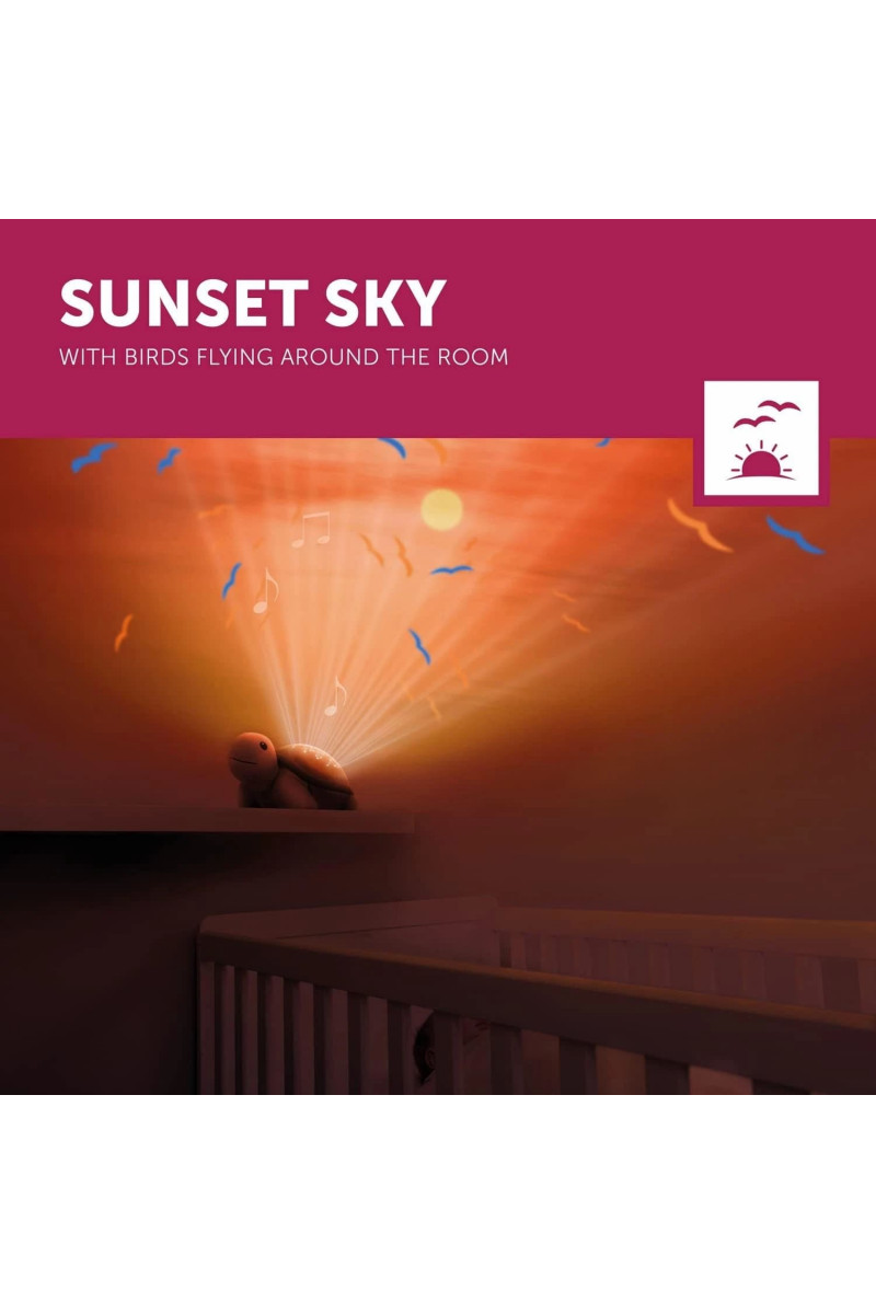 Zazu muzički projektor zalazak sunca kornjača Tim 