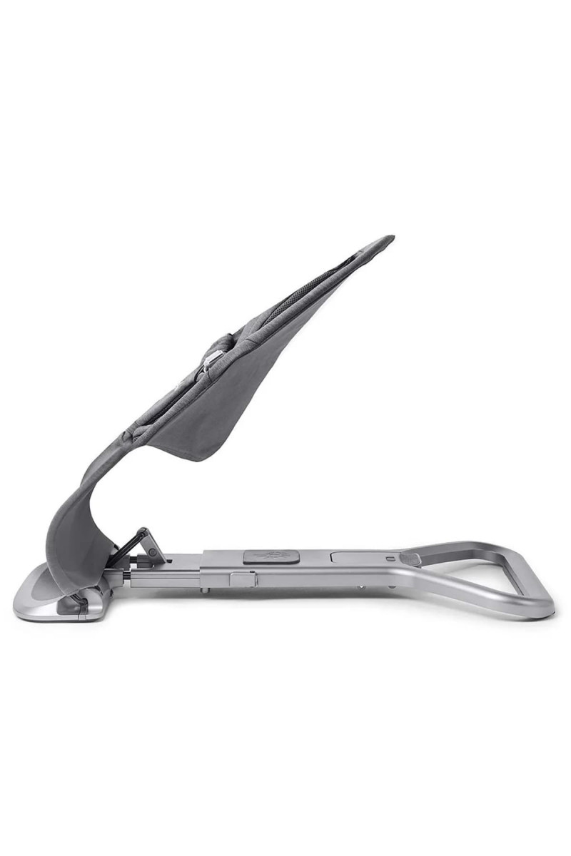 Ergobaby Evolve Bouncer 