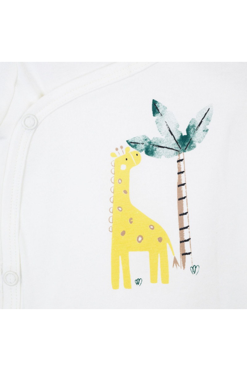 Just Kiddin bodi benka dr, dečaci 